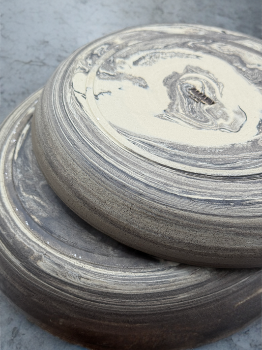 Small Anemone (Starter)