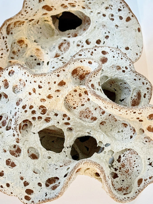 Detail of the sculpture’s curved, blooming folds resembling coral or fungal growth, created using the coil-building technique.